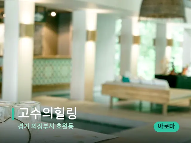경기 의정부시 호원동 고수의힐링 — 스파 마사지 베드