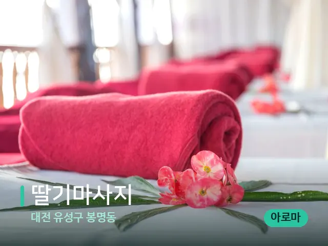 대전 유성구 봉명동 딸기마사지 — 스파 마사지 베드