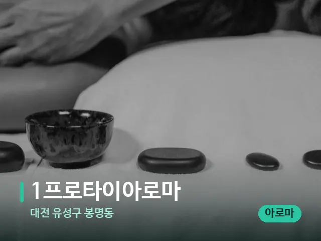 대전 유성구 봉명동 1프로타이아로마 — 스파 마사지 베드