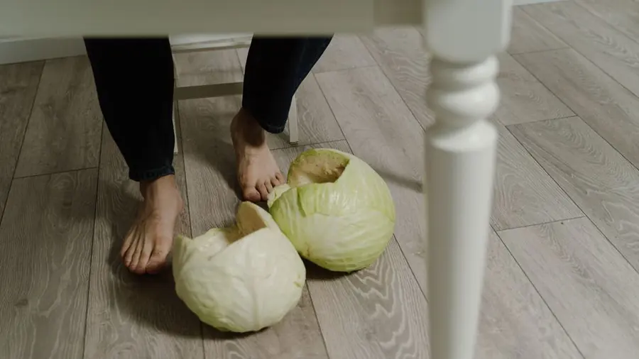 바닥에 놓인 배추와 맨발