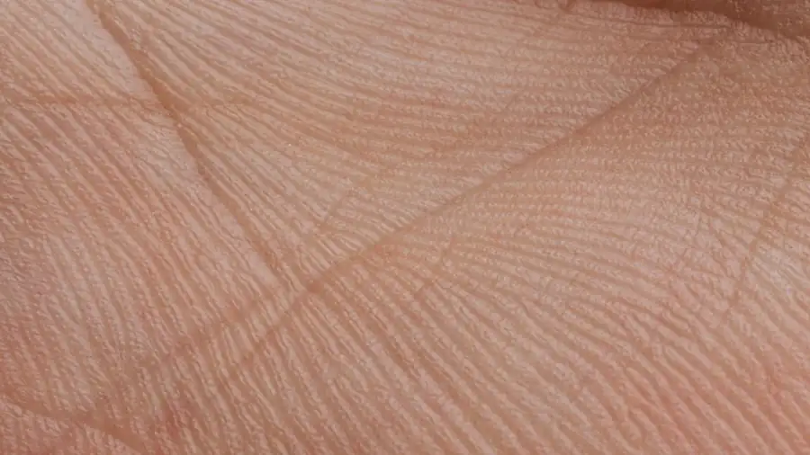 결이 겹쳐 보이는 손바닥 피부의 확대 사진